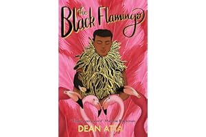 HACHETTE CHILDREN'S BOOK The Black Flamingo: The much loved, award-winning, queer coming-of-age story