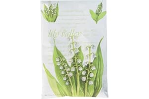Lily of the Valley Duftsachet Maiglöckchen Fresh Scents groß von Willowbrook