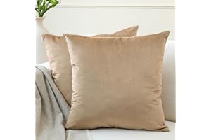 Encasa XO Housses de Coussin Velours, Set de 2 pièces (60x60 cm) - Beige - Teinture Couleur Unie, Doux et Moelleux, Lavable, Grand Coussin décoratif carré pour canapé, Sofa, Chaise