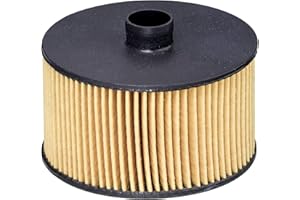 ‎HENGST Hengst Filter E823H D263 Engine Blocks
