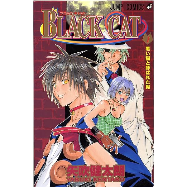 Black Cat - Volume 1: Amazon.co.uk: Yabuki, Kentaro: 9781421506050
