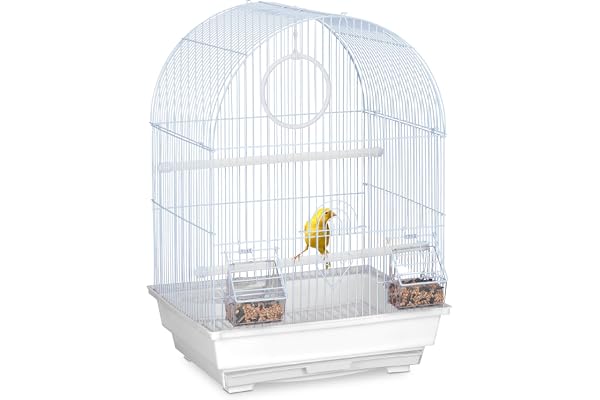 Relaxdays Cage à Oiseaux, canaris, perruches, avec perchoirs, balançoire & mangeoires, HLP 49,5 x 34,5 x 31 cm, Blanc