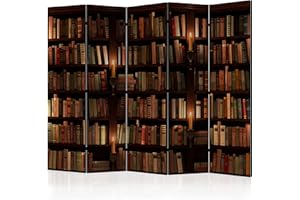 murando Acoustic Room Divider Library Photo Screen 225x172 cm / 88" x 67" Double-sided Print on Non-woven Canvas Acoustic Foam Partition Wall Spanish Wall Aperture Home Office Books f-B-0142-z-c