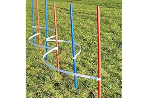 Wuzzmann Agility - Slalom - AUSBILDUNGSSET MIT 4 SLALOMBÖGEN/TRAININGSBÖGEN + 6 SLALOMSTANGEN ROT/BLAU