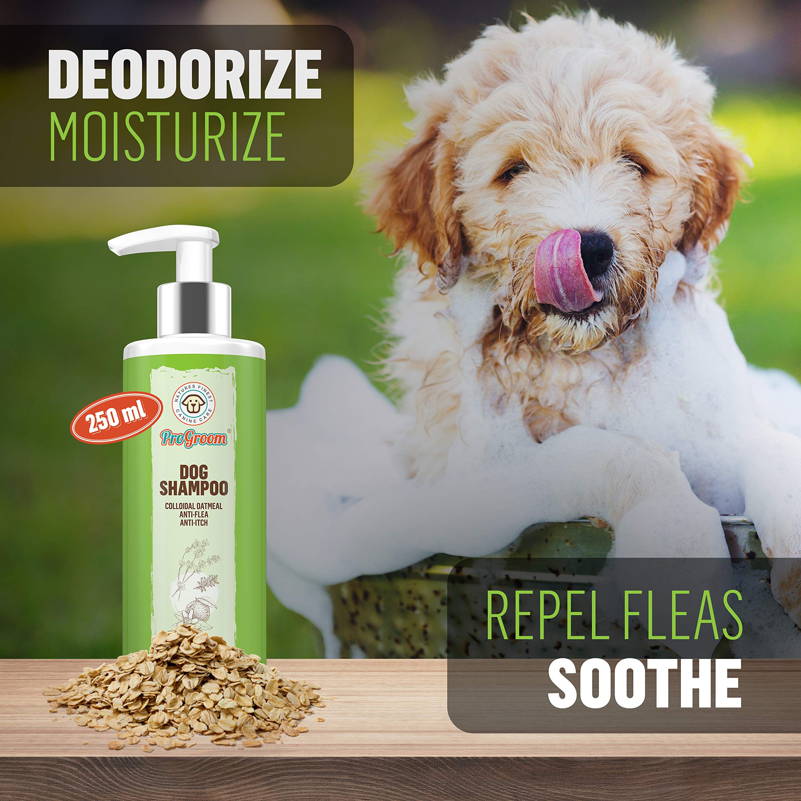 ProGroom Oatmeal Dog Shampoo Vegan, Organic, Natural Puppy Shampoo