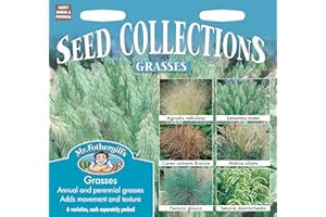 MR FOTHERGILLS Mr Fothergill's Seeds Ltd 10151 Flower Seeds, Grasses Collection