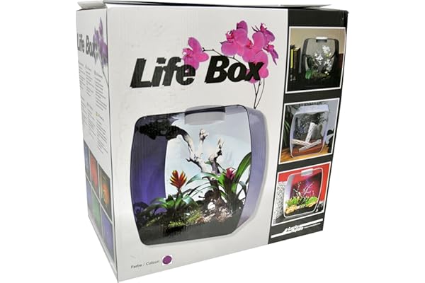 Lucky Reptile Life Box Terrarium Design