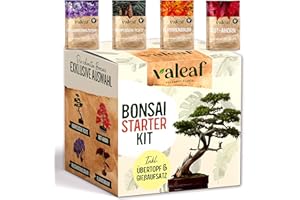 valeaf Bonsai Starter Kit I Bonsai Anzuchtset Geschenk für deinen Bonsai Baum I Zimmerpflanzen Anzuchtset inkl. 4 Sorten Bonsai Samen, Zubehör u. Bonsai-Schale I Saat Geschenk zum Baum pflanzen