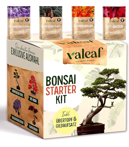 vegherb 10 Samen Kapokbaum, Kapok-Baum-Tropische Blte Holz Baumwolle Bonsai  Seed : Amazon.de: Garten