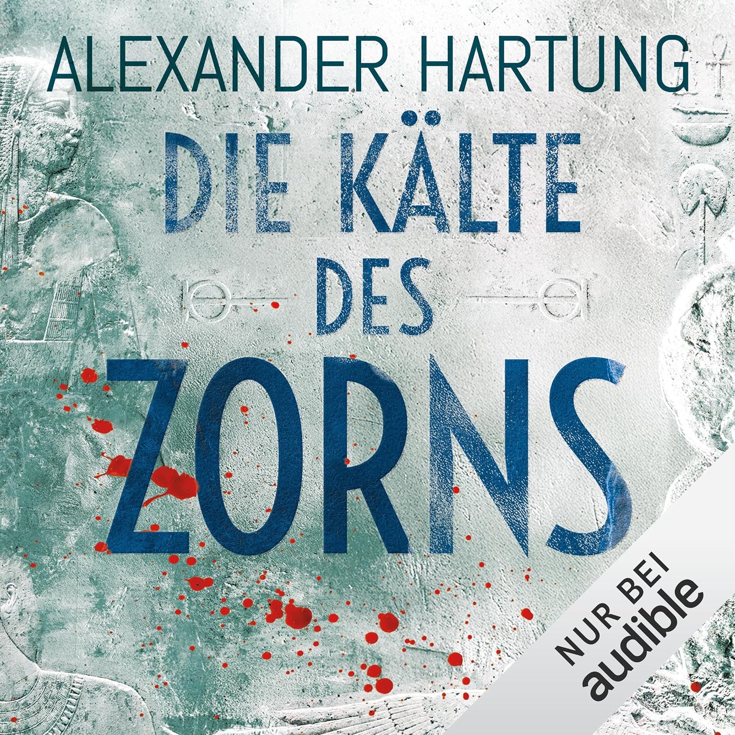 Die Kälte des Zorns: Jan Tommen, Band 13
