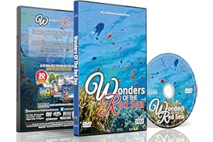 THE AMBIENT COLLECTION Underwater DVD - Wonders of the Red Sea - Explore Colorful Scenery of Fishes, Corals and Sea Turtles in Amazing Crystal Clear Ocean Seawater