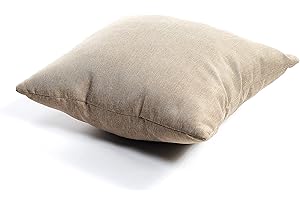 GUTEKISSEN Coussin pour Palette Coussin d'assise Dossier piqué PFG (Coussins décoratifs 50x50, Beige)