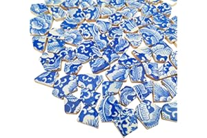BTMIEY Azulejos de mosaico de cerámica de porcelana de 500 g, azulejos de mosaico irregulares rotos para manualidades, cocina, piscina, macetas, suministros para hacer mosaicos (porcelana 08)