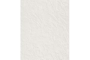 rasch Tapete 470604 – Einfarbige Vliestapete in Weiß mit grober Struktur in Putzoptik – 10,05m x 53cm (L x B)