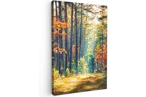MuchoWow© Leinwand Bilder 40x60 cm Wanddeko Wohnzimmer Aesthetic Room Decor Deko Zimmer Wandbilder Modern Fotogeschenke Wald - Sonne - Natur - Herbst