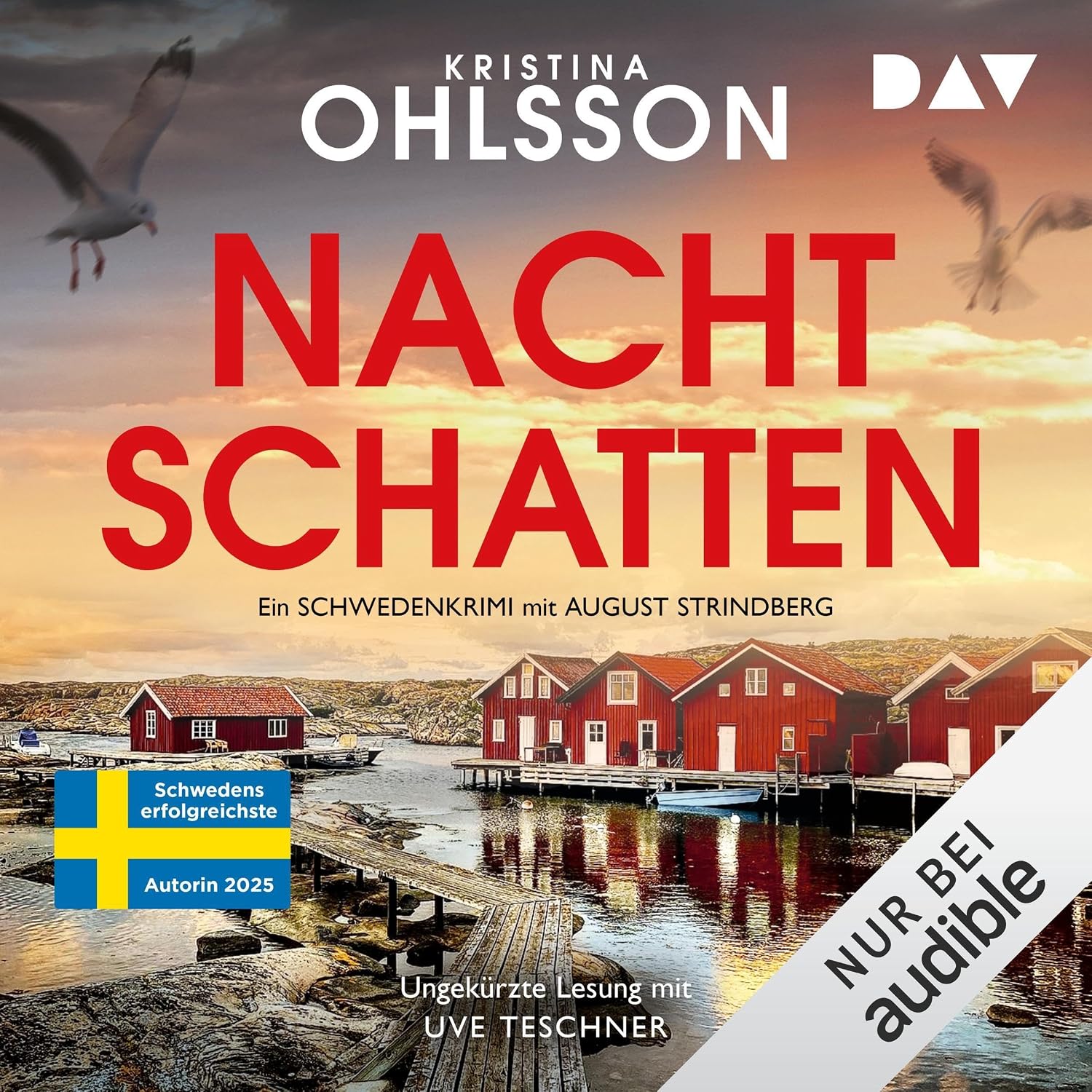 Nachtschatten: August Strindberg ermittelt, Band 5