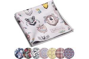 Johans® Paño de microfibra XXL para la limpieza de smartphone, tableta, gafas, pantalla, cámara, paño de pantalla, paño de limpieza para gafas, paño de limpieza, calidad óptica en 30 x 30 cm (Little