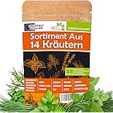 14 Kulinarische Kräutersamen - Erbstück und gentechnikfrei, gewachsen in der EU - Basilikum, Petersilie, Dill, Koriander, Ros