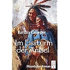 Im Eissturm der Amsel (German Edition)