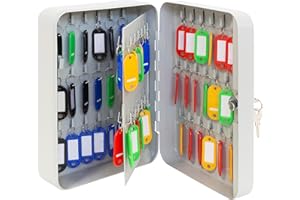 Arregui PLL60 Cassetta Portachiavi con Ganci Fissi | 60 Chiavi | Cassetta di Sicurezza per Chiavi da Muro | Appendichiavi da Parete | Portachiavi Inclusi | Armadietto per Chiavi | 25x18x8 cm | grigio