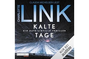 Kalte Tage: Ein Kate-Linville-Thriller - Der neue Spitzenthriller der Nr.-1-Bestsellerautorin