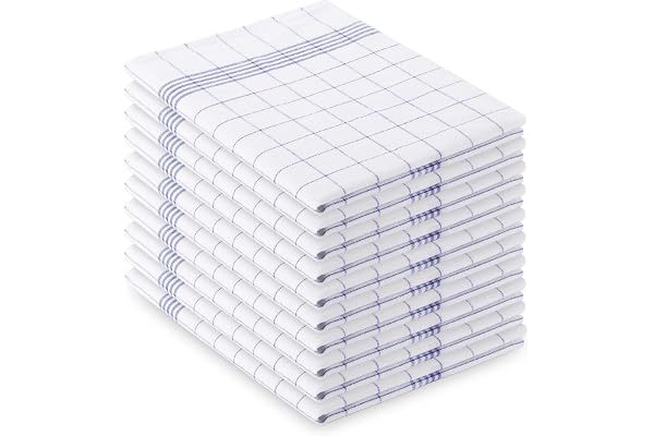 Vaily Diskhanddukar blå rutiga 10-pack – 70 x 45 cm av 100 % bomull
