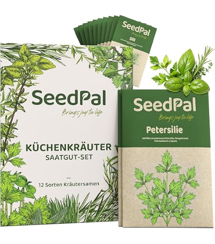 300 Semi Di Finocchio - Sementi Riproducibili Non Ibride Per Orto E Giardino - SemiWild - 4