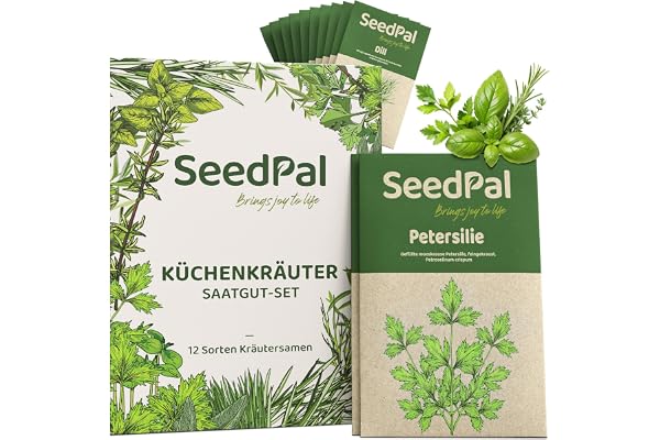 Kit Graine herbes aromatiques - 12 graines d’herbes différentes - Ton propre jardin herbes aromatiques pour la cuisine ou le balcon - kit plantes aromatiques