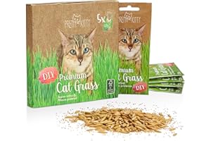 PRETTY KITTY Premium Cat Grass Seeds for Planting: 5x25g Plant Seeds for 50 pots natural Cat Treat – Fibre Supplement for Cats – Cat Grass Seed Fast Growing – Grass for Cats, Cat Plant – Cats Grass by PrettyKitty