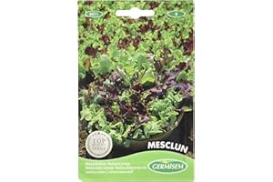 Germisem Mesclun Semillas de Ensalada Mix 4 g