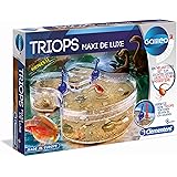 Mini gewächshaus Mini gewächshaus