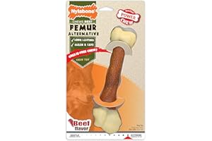 Nylabone - Ossi Sintetico da Masticare al Sapore di Manzo per Cani