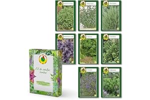 PNOS OŻARÓW MAZOWIECKI PNOS Set de semillas aromaticas, 8 kit semillas, albahaca, romero, cilantro, hisopo, mejorana, albahaca roja, levístico, orégano, semillas ecologicas huerto para cocina, balcón y jardín, owngrown