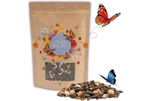 HAPPYSEED 500g Semillas de pradera para mariposas para una colorida pradera de flores - mezcla de semillas de flores silvestres ricas en néctar para mariposas