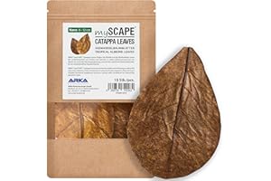 Hojas catappa Acuario – ARKA mySCAPE 10 uds (8–12 cm) – acondicionador Natural del Agua Dulce – Baja el pH y fortalece Peces y gambas – favorece el desove – sin químicos – Uso prolongado