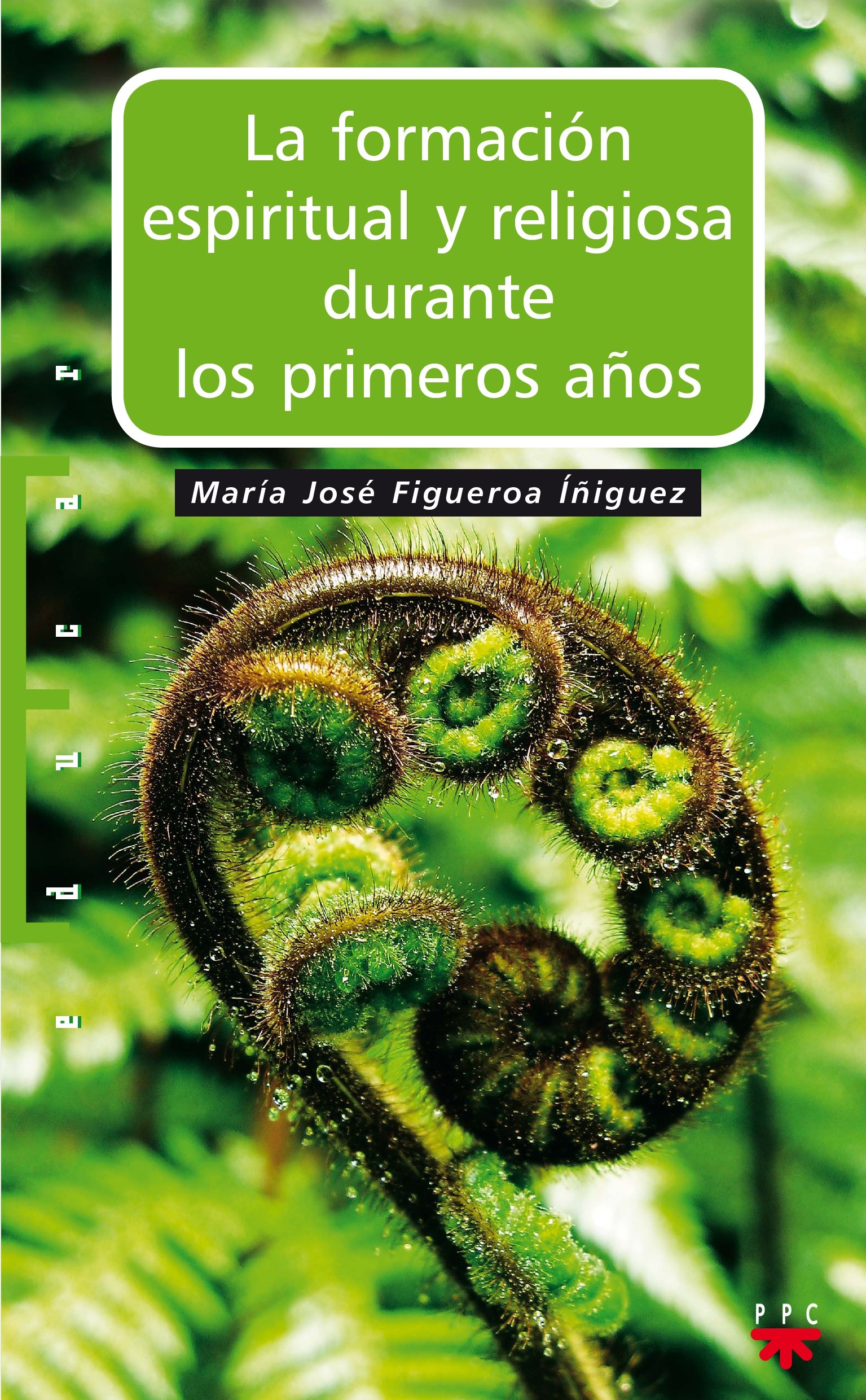 La Formación Espiritual Y Religiosa Durante Los Primeros Años: La importancia del desarrollo y el aprendizaje en Educación Infantil: 100
