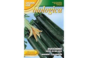 SEMI BIO DI ZUCCHINO NERO DI MILANO FRANCHI SEMENTI- GOLDEN LINE BUSTINA DA 6 GR BIOB146/1B