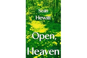 Open, Heaven: The heartbreaking and bestselling novel about how a first love can shape a whole life