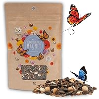 100g Schmetterlingswiese Samen für eine bunte Blumenwiese - Farbenfrohe & nektarreiche Wildblumensamen Mischung für…