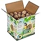 Dehner Natura Wildvogelfutter, Meisenknödel, Bio-Netz, im Karton, 100 Stück (10 kg)