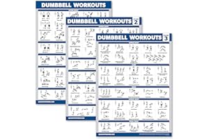 Palace Learning 3er-Pack – Hantel-Workout-Poster für Zuhause – Band 1, 2 und 3 – Übungstabellen (laminiert, 45,7 x 61 cm)