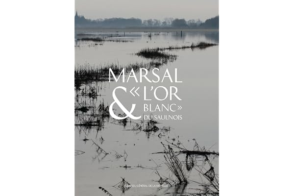 Marsal & "l'or blanc" du Saulnois: Le musée départemental du sel de Marsal