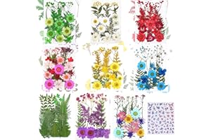 Cayway 8-pak suszonych kwiatów do form żywicznych, prawdziwe naturalne suszone prasowane kwiaty, naturalne suszone prasowane liście z naklejką motylkową do scrapbookingu, rękodzieła, biżuterii, 8 szt
