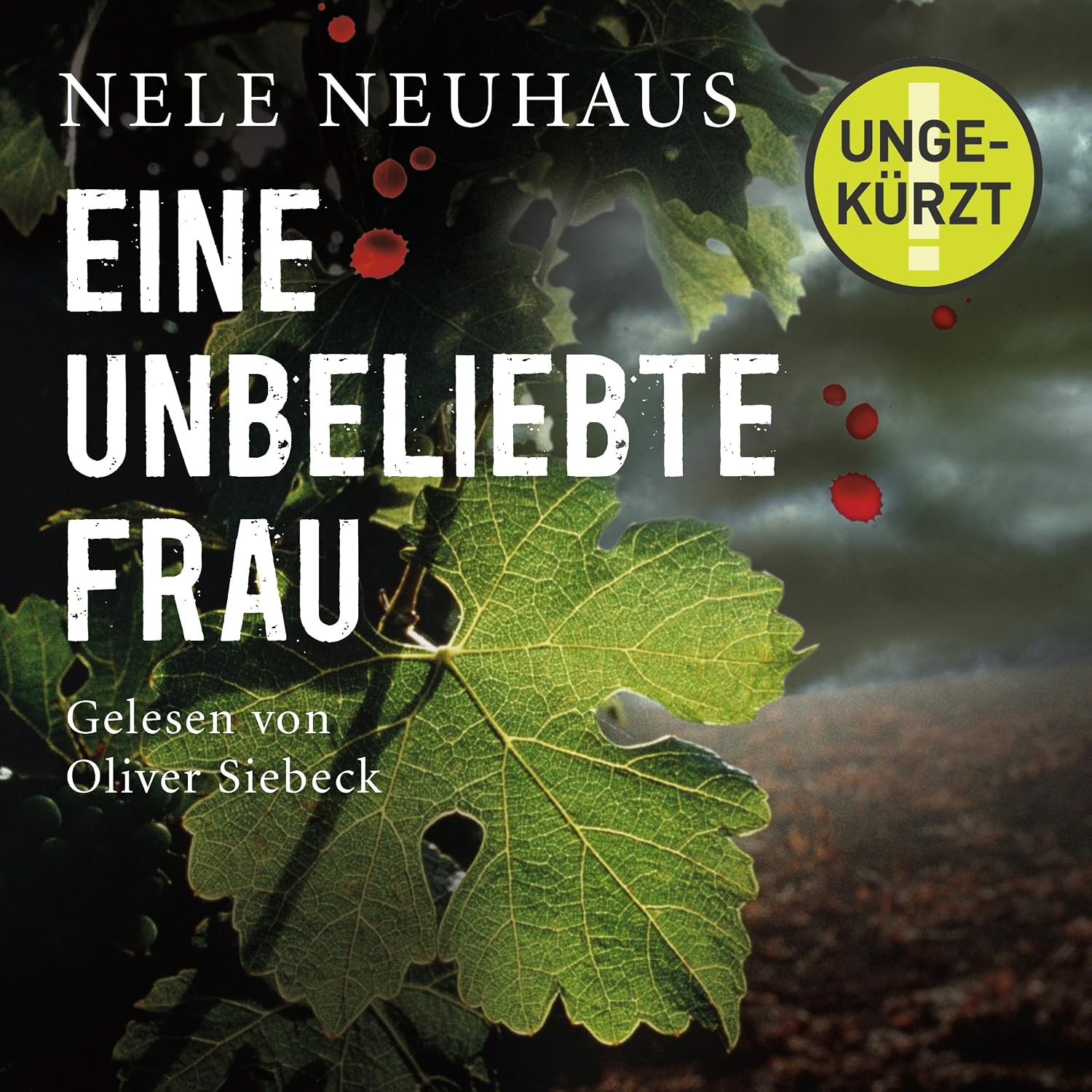 Prise en Main & Utilisation au Quotidien : Eine unbeliebte Frau Bodenstein Kirchhoff 1