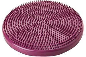 FITPAWS Balance Disc pour Chien Bleu 14"