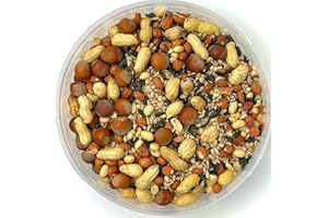 SUPERPET LTD Superpet Extra Premium+ Squirrel And Bird Mix - New Mix (500g)