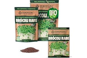 ZenGreens® - Semillas de brócoli ecológico - Elija entre 10g, 200g y 500g - brotes de cime di rapa - germinación de más del 97% - Microgreens