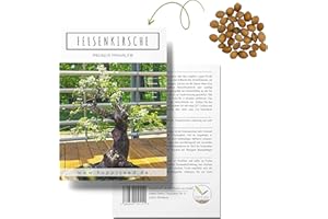 Einzigartige Bonsai Samen mit hoher Keimrate - Pflanzen Samen Set für deinen eigenen Bonsai Baum (1x Felsenkirsche)