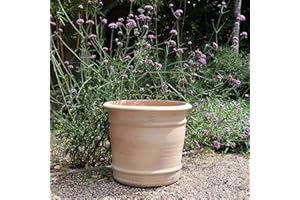 Palatina Werkstatt ,handgefertigter Terracotta Topf Blumenkübel Pflanzgefäß absolut frostfest, standfest, Übertopf zum Bepflanzen | Innen- und Außenbereich, Canna 40 cm