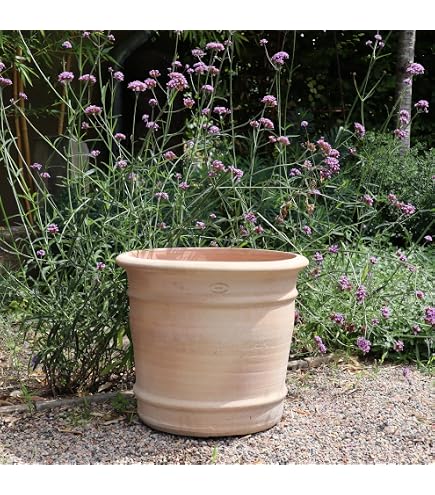 Willy The Worm – Sensore D'Acqua Per Piante In Terracotta, Grande (16 Cm), Indicatore Di Irrigazione Per Giardinaggio